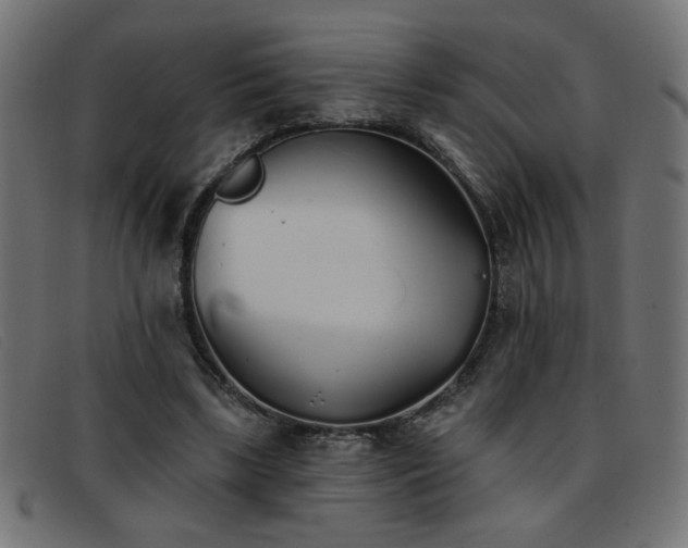 X0000093360443200710111457