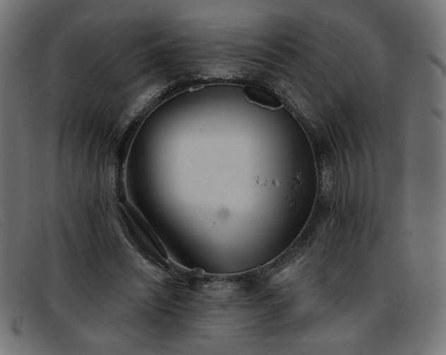 X0000093360444200710111457
