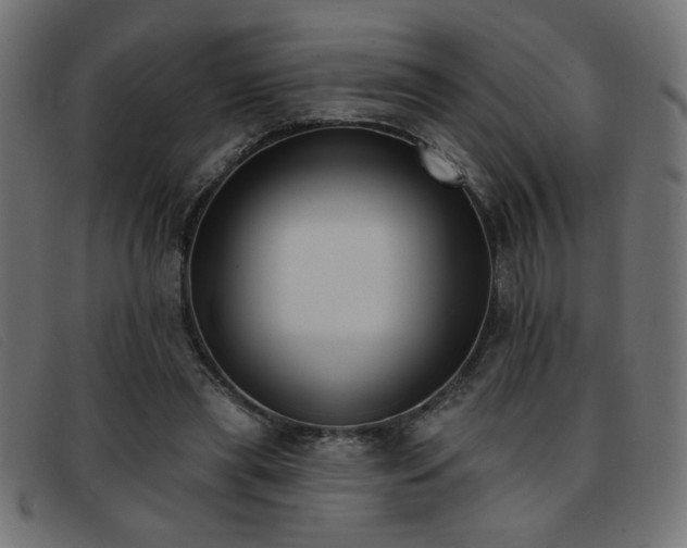 X0000093360445200710111457