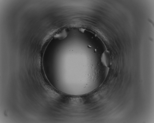 X0000093360446200710111457