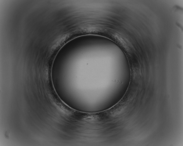 X0000093360447200710111457
