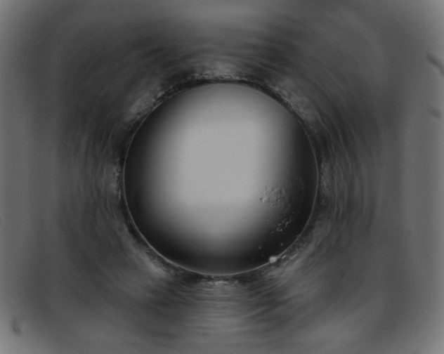 X0000093360449200710111457
