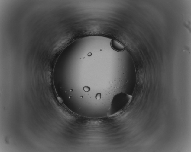 X0000093360450200710111457