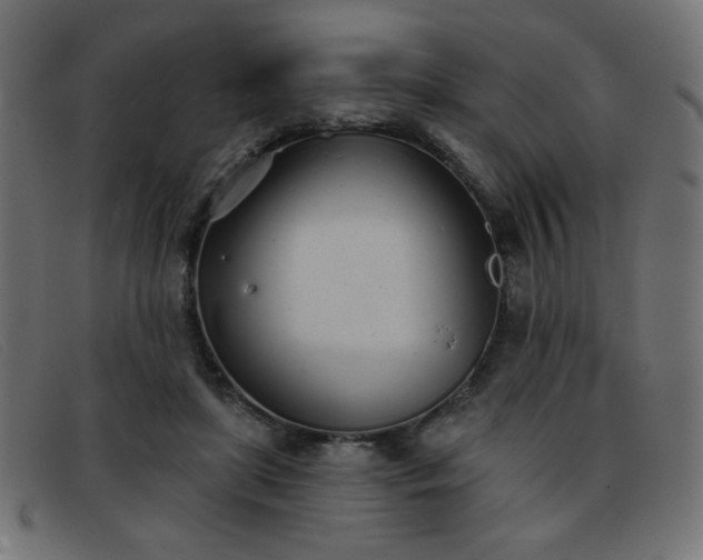 X0000093360451200710111457