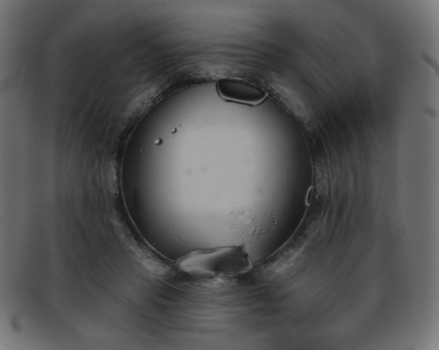 X0000093360453200710111457