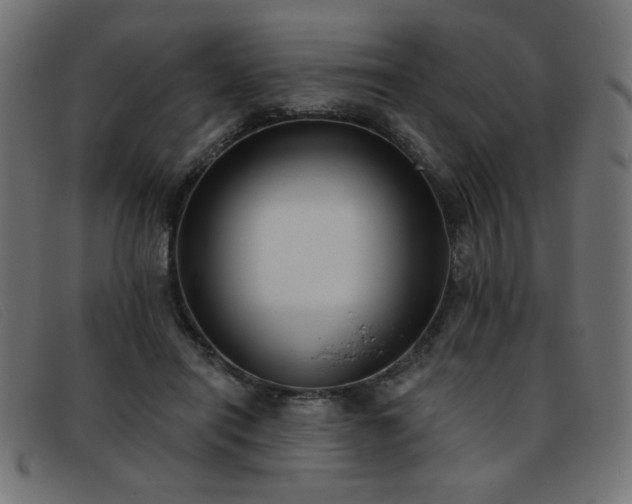 X0000093360454200710111457