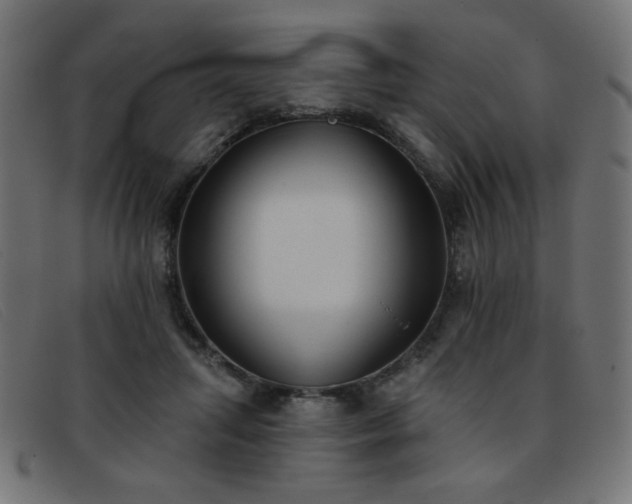 X0000093360455200710111458