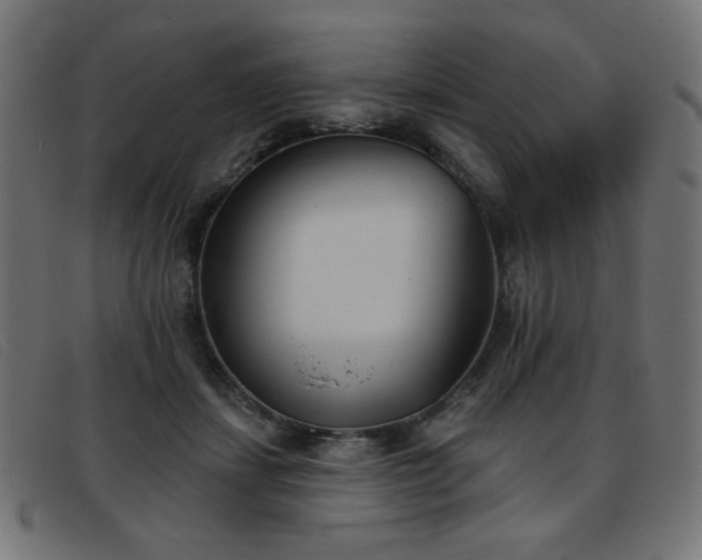 X0000093360459200710111458