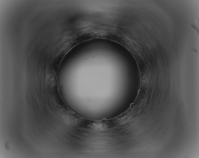 X0000093360464200710111458