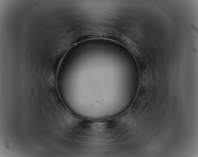 X0000093360465200710111458