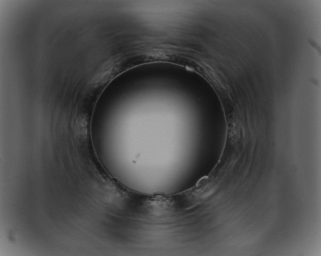 X0000093360466200710111458