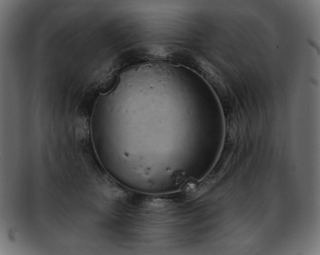 X0000093360467200710111458