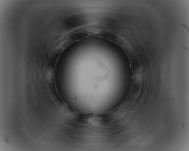 X0000093360468200710111458