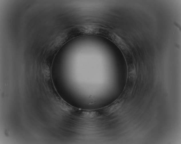 X0000093360469200710111458