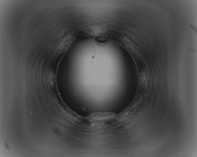 X0000093360470200710111458