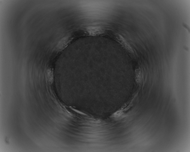 X0000093360471200710111458