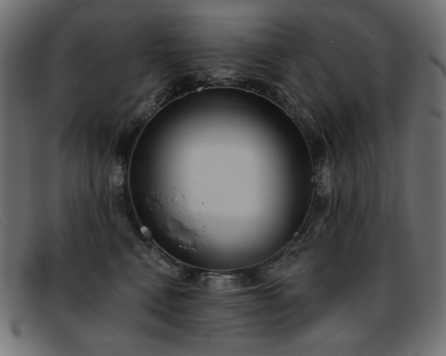 X0000093360472200710111458