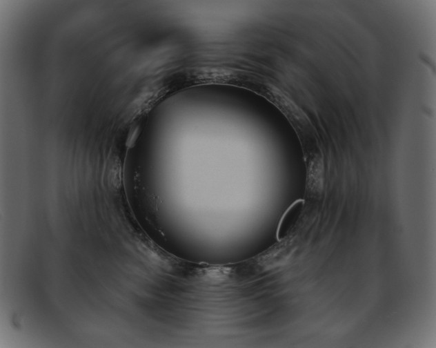 X0000093360474200710111458