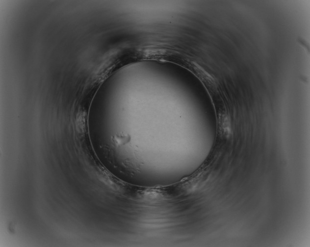 X0000093360475200710111458