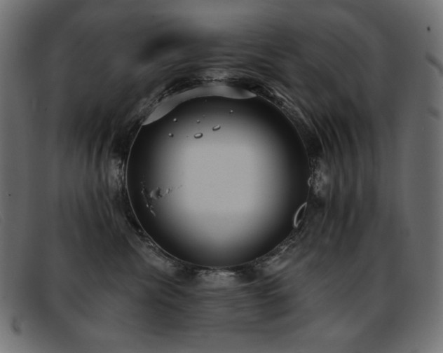 X0000093360476200710111458