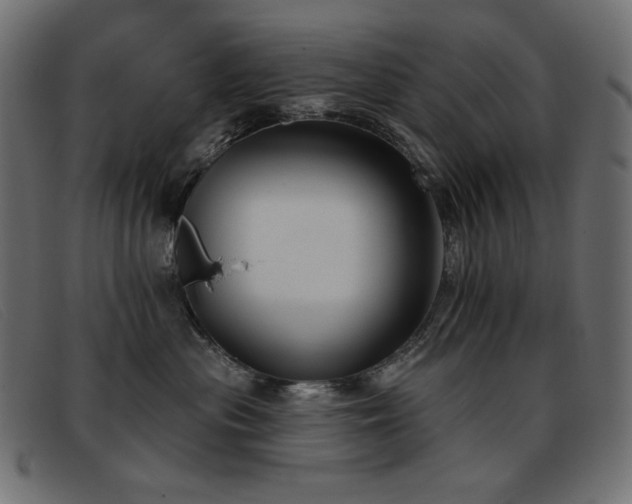 X0000093360477200710111458