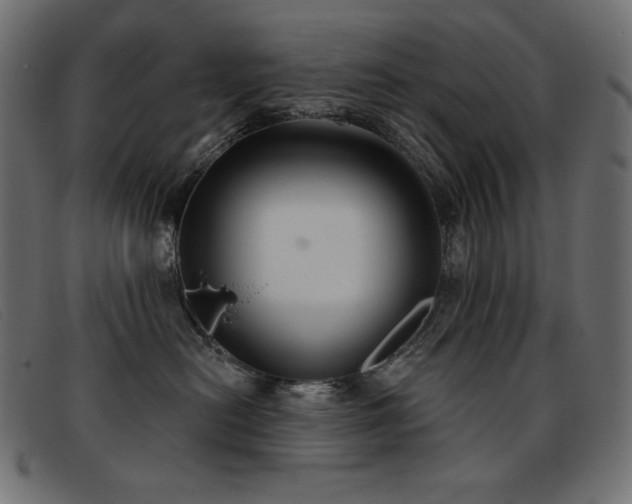 X0000093360478200710111458