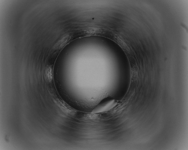 X0000093360479200710111458