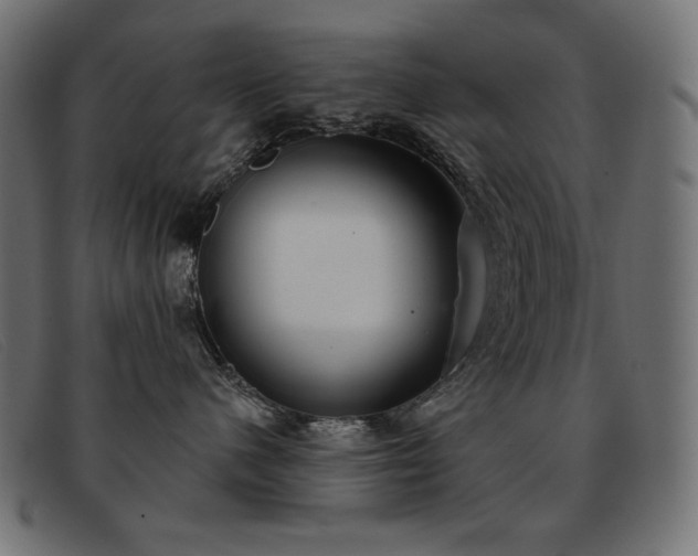 X0000093360480200710111458