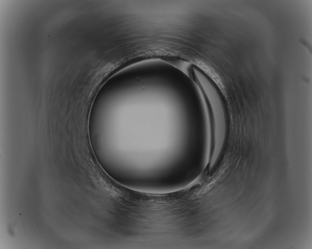 X0000093360481200710111457