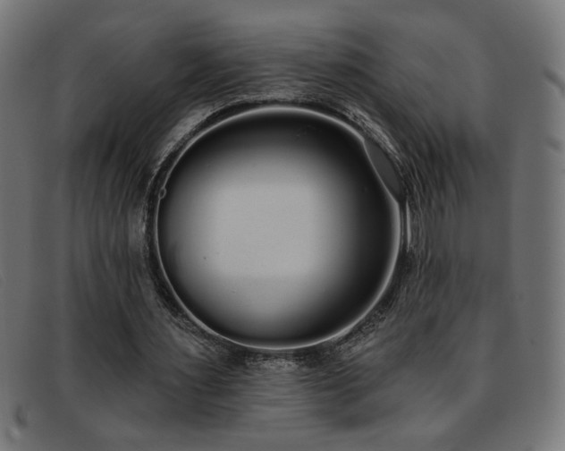 X0000093360483200710111457