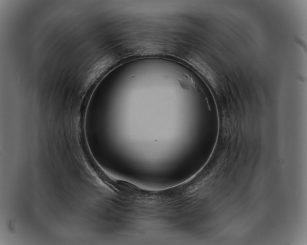X0000093360485200710111457