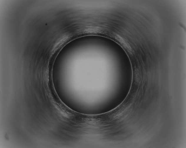 X0000093360486200710111457