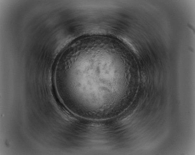 X0000093360487200710111457