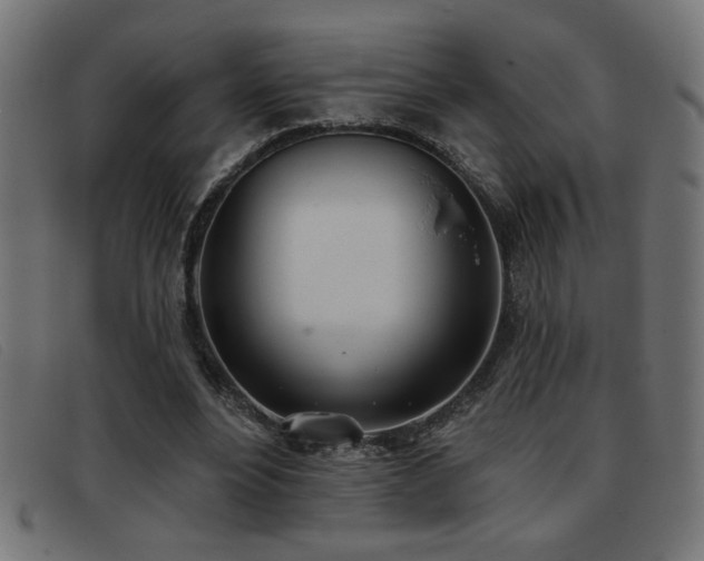 X0000093360488200710111457