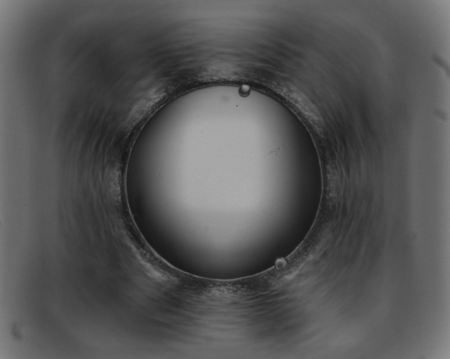 X0000093360489200710111457
