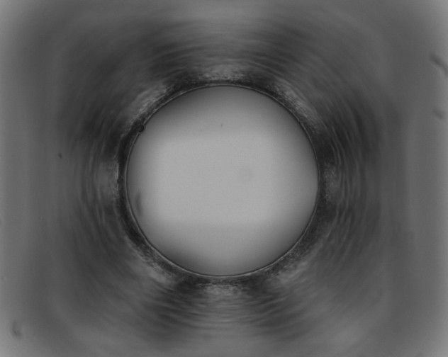 X0000093360490200710111457