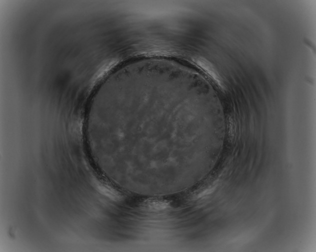 X0000093360491200710111457