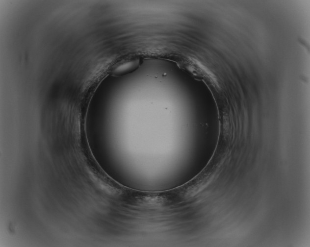 X0000093360493200710111457