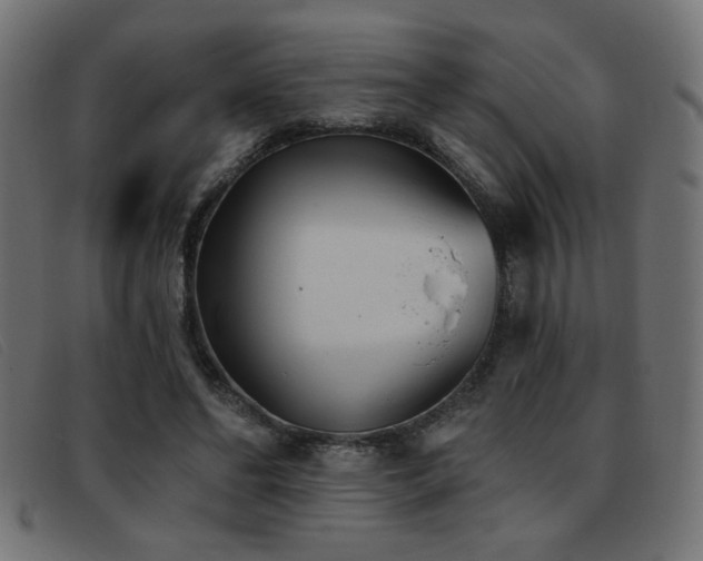 X0000093360494200710111457