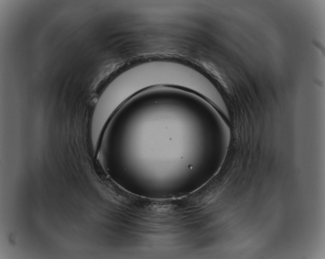 X0000093360495200710111457