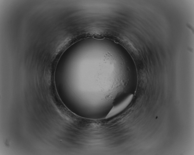 X0000093360496200710111457