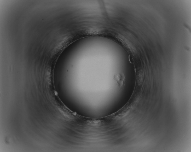 X0000093360497200710111457