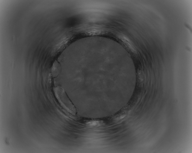 X0000093360499200710111457