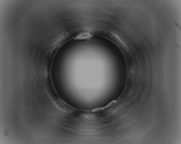 X0000093360500200710111457