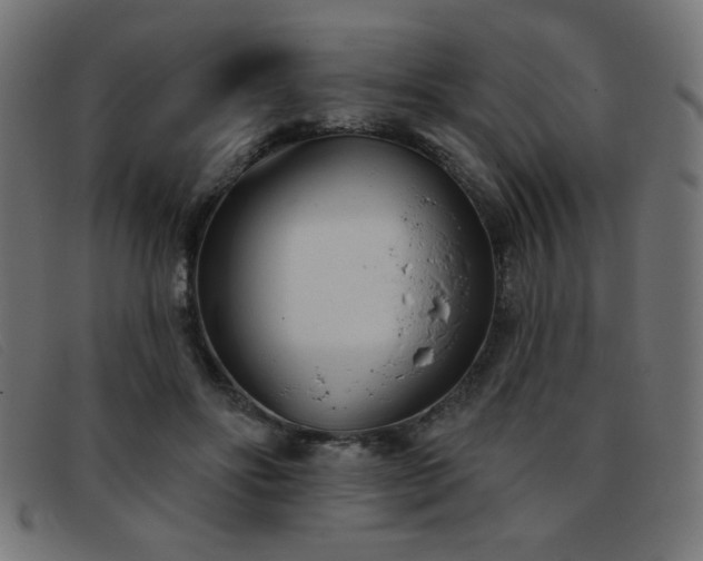 X0000093360502200710111457