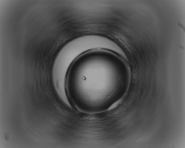 X0000093360503200710111457