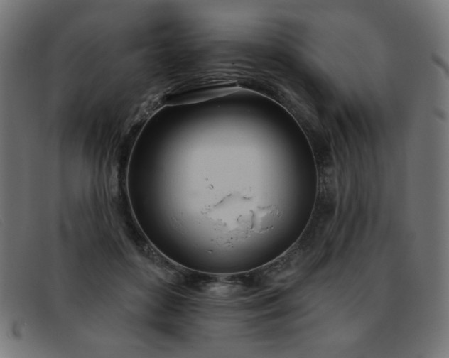 X0000093360504200710111457