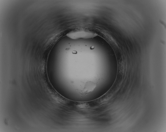 X0000093360505200710111457