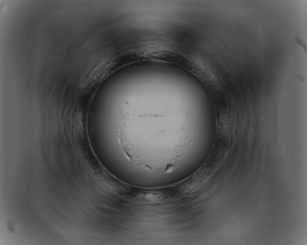 X0000093360506200710111457