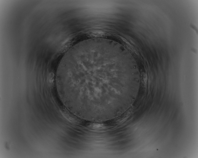 X0000093360507200710111457